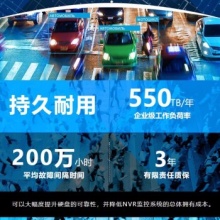 希捷机械硬盘ST10000VE001