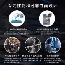 希捷机械硬盘10TB ST10000VE008
