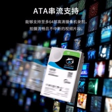 希捷机械硬盘10TB ST10000VE008
