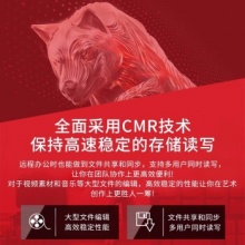 希捷存储机械硬盘ST4000VN006