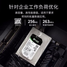 希捷10TB机械硬盘10t ST10000NM017B