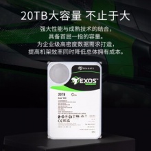 希捷企业级硬盘20TB ST20000NM007D
