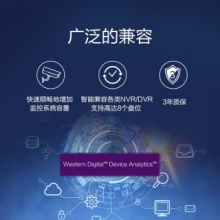 西部数据(WD)紫盘监控硬盘(WD10EJRX)