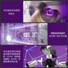 西部数据机械硬盘4t WD42EJRX 