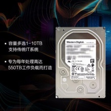 西部数据企业级硬盘(HUS728T8TALE6L4)