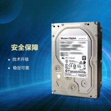 西部数据企业级硬盘(HUS728T8TALE6L4)