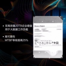 西部数据企业级硬盘（WUH721816ALE6L4）