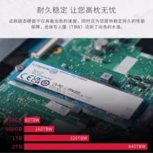 金士顿固态硬盘NV2 250G 