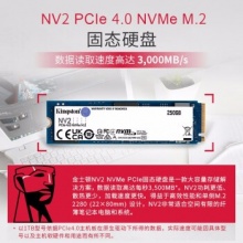 金士顿固态硬盘NV2 250G 