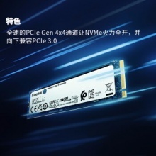 金士顿固态硬盘500GB NV2