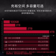 金士顿固态硬盘500GB NV2
