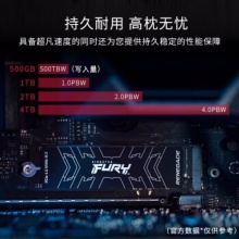 金士顿固态硬盘500GB NV2