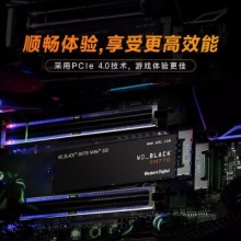 西部数据（WD）固态硬盘SN770 2TB 