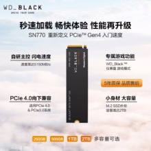 西部数据（WD）固态硬盘SN770 2TB 