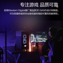 西部数据固态硬盘SN850 500G黑盘