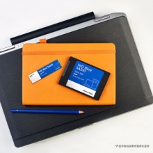 西部数据（WD)250GB固态硬盘SA510 