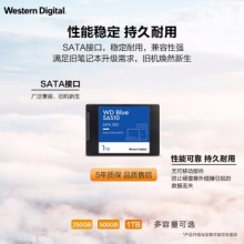 西部数据（WD)1TB固态硬盘SA510 