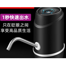 电动压水泵