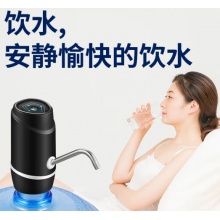 电动压水泵