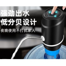 电动压水泵
