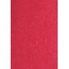 A4卡纸 红色 厚