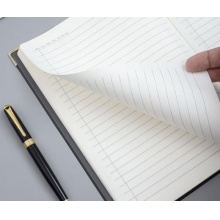 晨光会议记录本 APYLJ487